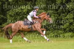 Wellwishes Dawn MOSIER