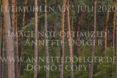 Zarabi Michael BUENGER