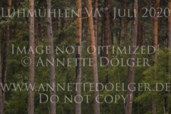 Fiorella 111 Daniela VARENHOLD