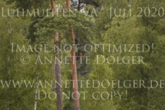 Fiorella 111 Daniela VARENHOLD