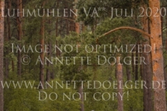 Zarino 54 Lena ROCHOLL