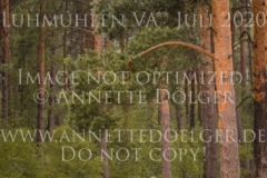 Zarino 54 Lena ROCHOLL