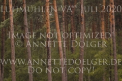 Zarino 54 Lena ROCHOLL