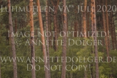 Zarino 54 Lena ROCHOLL