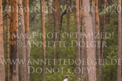 Crimson Reef Sadie BUCHENAU