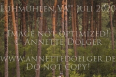 Crimson Reef Sadie BUCHENAU