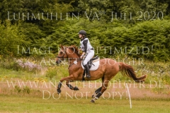 Aprikose 6 Christina MUELLER