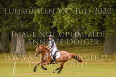 Aprikose 6 Christina MUELLER