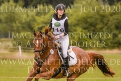 Aprikose 6 Christina MUELLER