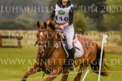 Aprikose 6 Christina MUELLER