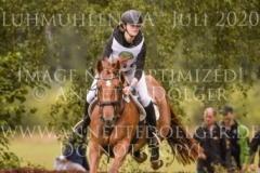 Aprikose 6 Christina MUELLER