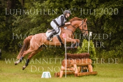 Aprikose 6 Christina MUELLER