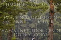 Vincenza 5 Jessica ALPERS