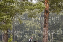 Caldera Z Kurd Moritz von ZIEGNER