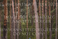 Camira P Lena BRIEKE