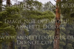 Camira P Lena BRIEKE