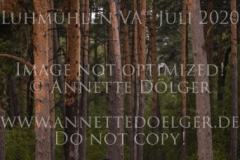 Caprinello Lars MILNICKEL