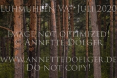 Caprinello Lars MILNICKEL