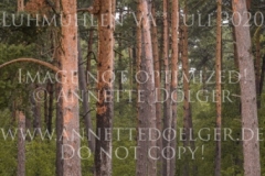 Cassidy 44 Caroline SVENNESEN