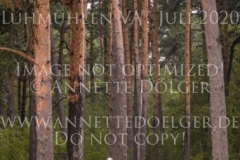 Cassidy 44 Caroline SVENNESEN