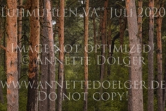 Chilli Day 2 Marie-Louise SCHLOTTAU