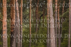 Collin S 4 Alicia von ZIEGNER