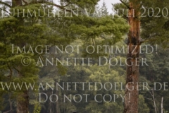 Conrad 140 Anna Lucie PRAHL