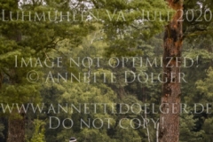 Lucid Lane 2 Peer Christian AHNERT