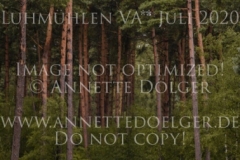 Glencroft Ghandi Lena REINSTORF