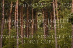 Glencroft Ghandi Lena REINSTORF