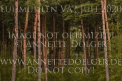 Venta H Henriette HAGEMANN