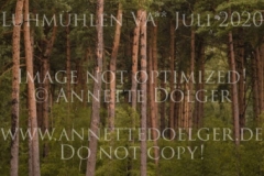 Galante Kristy SNEPVANGERS