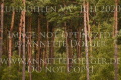 Deja-vu 24 Ruediger MEYER