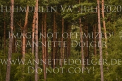 Van Hera P Ingrid KLIMKE