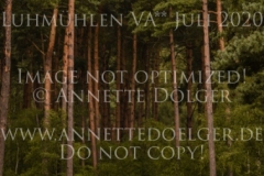 Lariostea H Viktoria WEYERS