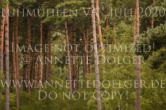 Falbala K Oliver KIENZ