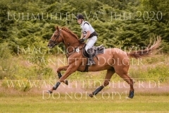 Let's dance 85 Anton GERLACH