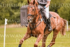 Let's dance 85 Anton GERLACH