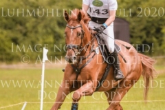 Let's dance 85 Anton GERLACH