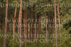 Benno 173 Hella JENSEN