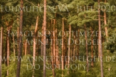 Kilrose Jacqueline VOSSENACK