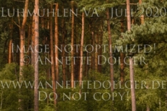 Index 44 Vanessa BOELTING