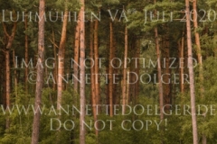 Landlystes Zarina Heidi NYHUS JENSEN