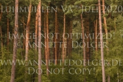 Landlystes Zarina Heidi NYHUS JENSEN