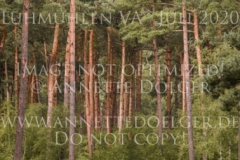 Dark Gambler Antonia VON BAATH