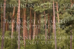 Dark Gambler Antonia VON BAATH