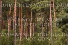 Dark Gambler Antonia VON BAATH