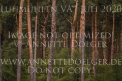 Lanzelot 113 Annalena LESCH