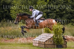 NZB Port Royal Isabella von ROEDER