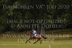 NZB Port Royal Isabella von ROEDER